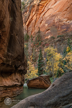 02007-1170
